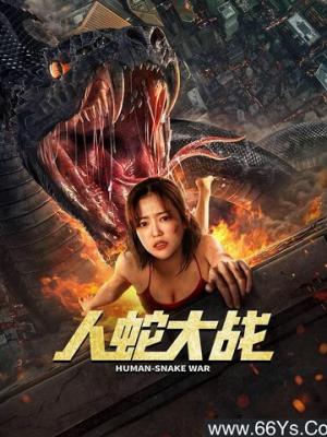 长风渡海 封面